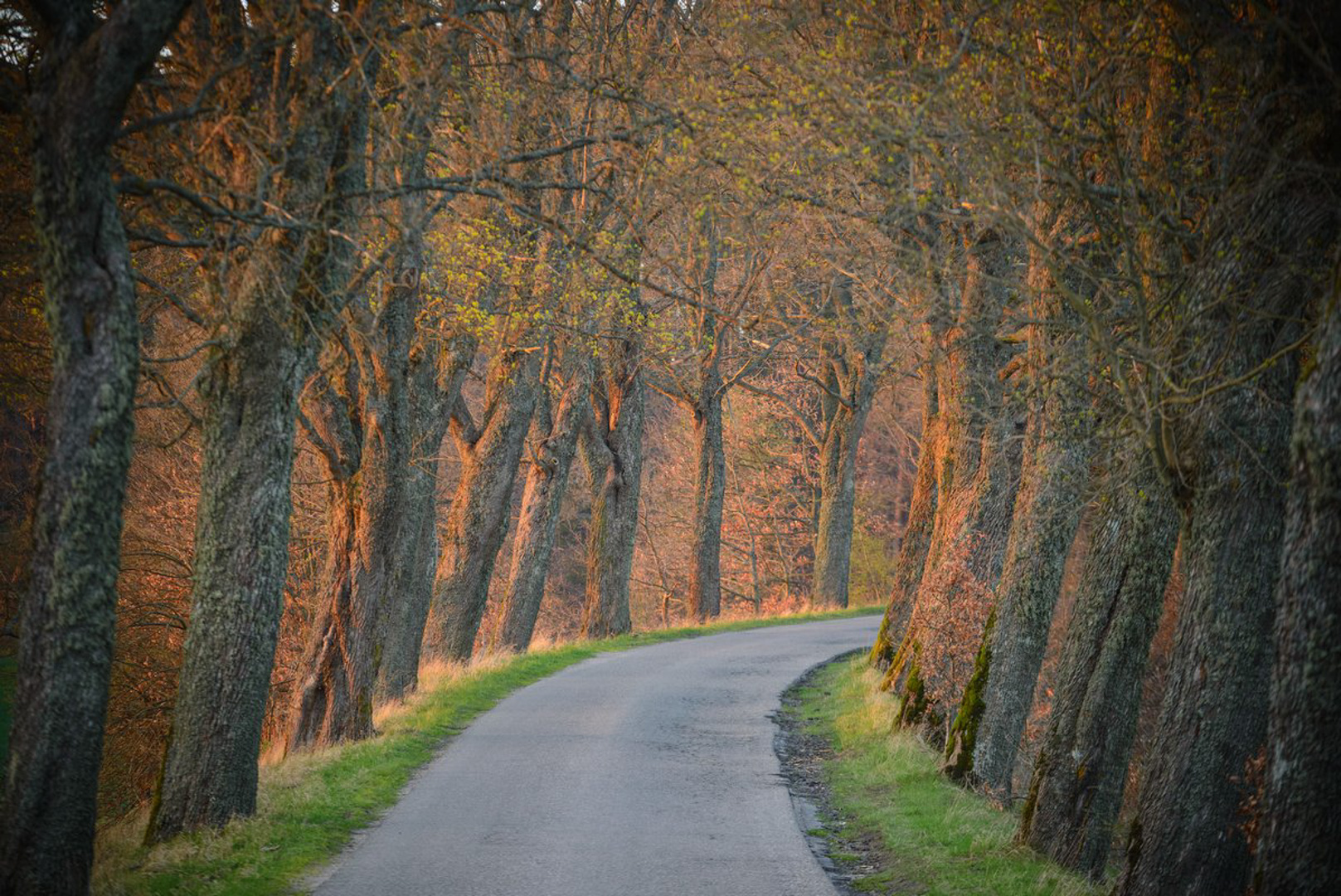 srebrny-klon-pensjonat-kaszuby-salon-4